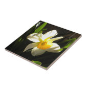 Daffodil am Daybreak Tile Fliese (Seite)