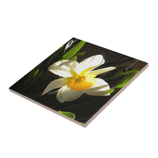 Daffodil am Daybreak Tile Fliese (Seite)