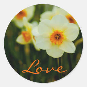 Daffodil - Aufkleber für Lieben