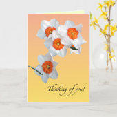 Daffodil Birthday Karte (Gelbe Blume)