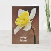 Daffodil Blooming Oaster Card Karte (Vorderseite)