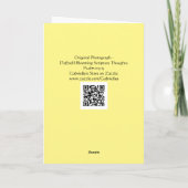 Daffodil Blooming Scripture Card Gedanken Psalmen Karte (Rückseite)