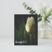 Daffodil Blume Fotografie Schöne Lebensform Phrase Postkarte (Stehend Vorderseite)
