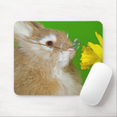 Daffodil-Bunny Mousepad (Mit Mouse)