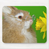 Daffodil-Bunny Mousepad (Vorne)