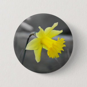 Daffodil Button