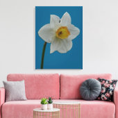 Daffodil Canvas Print Leinwanddruck (Insitu (Wohnzimmer))