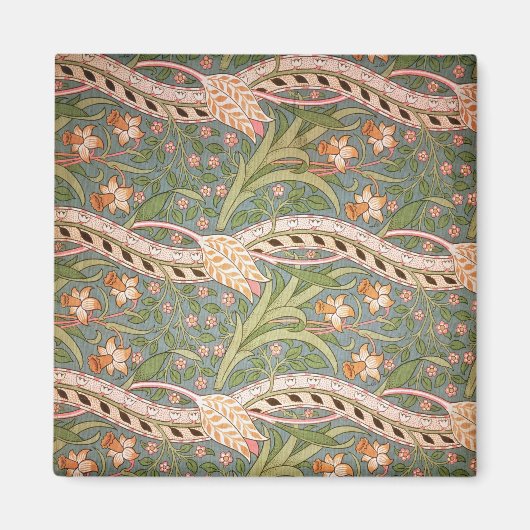 Daffodil Chintz', 1875 Magnet (Vorne)