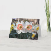 Daffodil congrat Zwillinge Grußkarte Karte (Vorderseite)