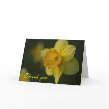 Daffodil Danke-Card