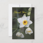 Daffodil Danke-Card Dankeskarte (Vorderseite)