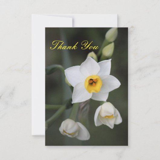 Daffodil Danke-Card Dankeskarte (Vorderseite)