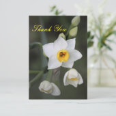 Daffodil Danke-Card Dankeskarte (Stehend Vorderseite)
