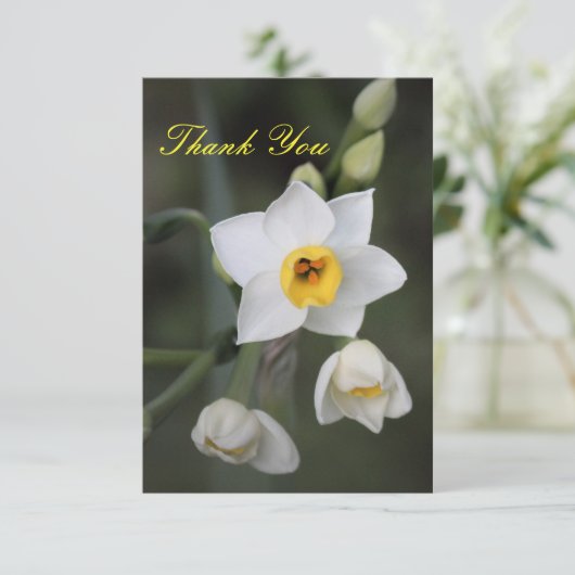 Daffodil Danke-Card Dankeskarte (Stehend Vorderseite)