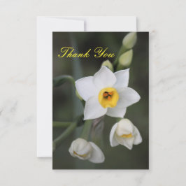 Daffodil Danke-Card Dankeskarte