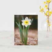 Daffodil "Danke!" Karte (hell) (Gelbe Blume)