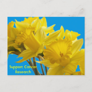 Daffodil Days Postkarte