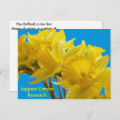 Daffodil Days Postkarte (Vorne/Hinten)