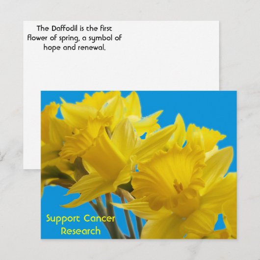 Daffodil Days Postkarte (Vorne/Hinten)