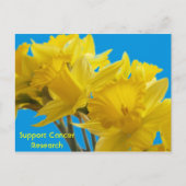 Daffodil Days Postkarte (Vorderseite)