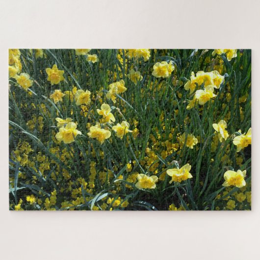 Daffodil-Delight-Puzzle Puzzle (Horizontal)