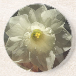 Daffodil Dreams Getränkeuntersetzer