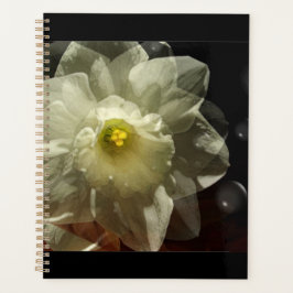 Daffodil Dreams Planer