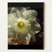 Daffodil Dreams Planer (Rückseite)