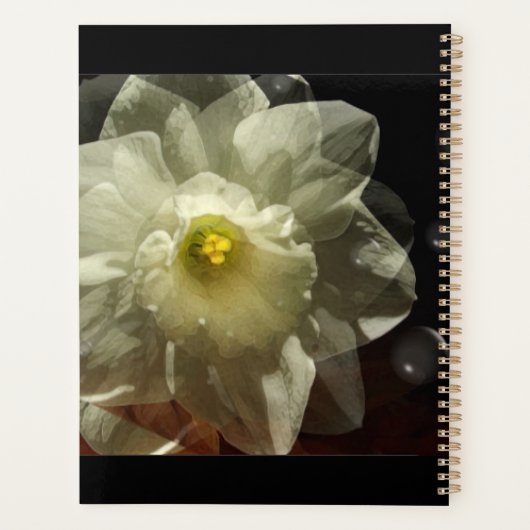 Daffodil Dreams Planer (Rückseite)