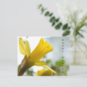 Daffodil • Easter Postcard Feiertagspostkarte (Stehend Vorderseite)
