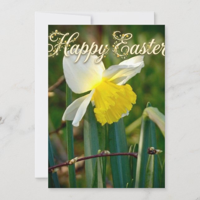 Daffodil & Easter wishes (Vorderseite)