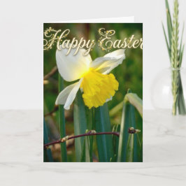 Daffodil & Easter wishes Karte