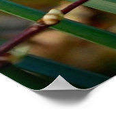 Daffodil & Easter wishes Poster (Ecke)