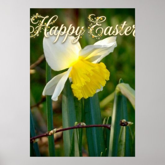 Daffodil & Easter wishes Poster (Vorne)