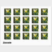 Daffodil & Easter wishes Quadratischer Aufkleber (Blatt)