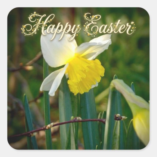 Daffodil & Easter wishes Quadratischer Aufkleber (Vorderseite)