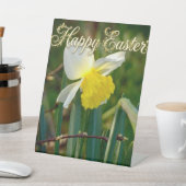 Daffodil & Easter wishes Sockelschild (In SItu)