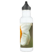 Daffodil Edelstahlflasche (Rechts)