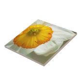 Daffodil Fliese (Seite)