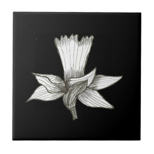 Daffodil Floral Tile Fliese