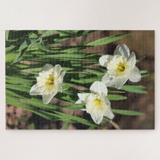 Daffodil Flower Puzzle (Horizontal)