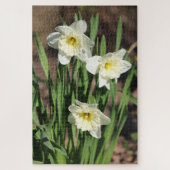 Daffodil Flower Puzzle (Vertikal)