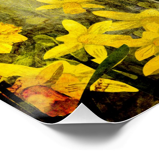 Daffodil Ghost Poster (Ecke)