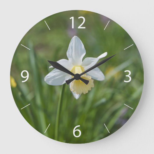 Daffodil Große Wanduhr (Vorderseite)