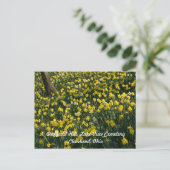 Daffodil Hill - Gelbe und weiße Blume Postkarte (Stehend Vorderseite)