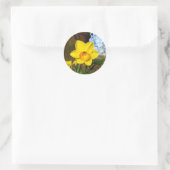 Daffodil im Park Runder Aufkleber (Tasche)