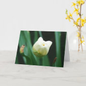 Daffodil Karte (Gelbe Blume)