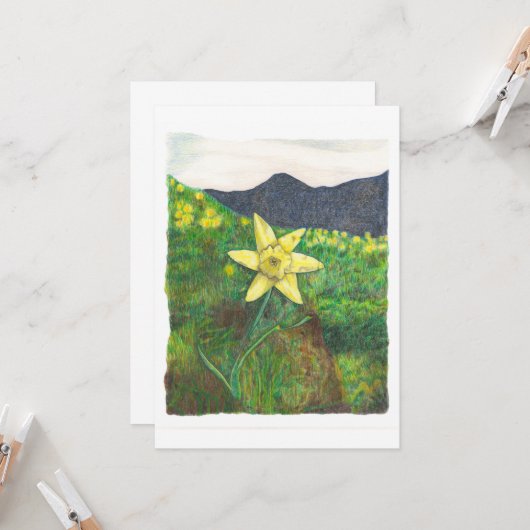 Daffodil Karte (Vorderseite/Rückseite Beispiel)