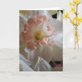 Daffodil Karte (Gelbe Blume)