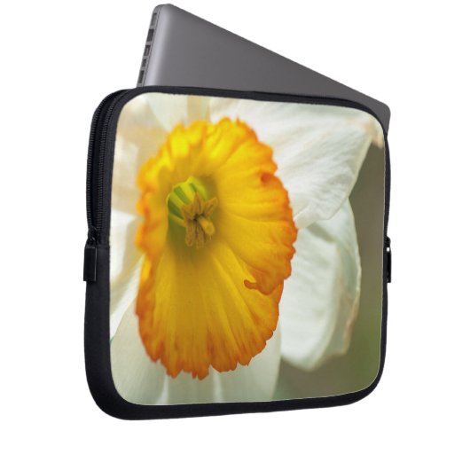 Daffodil Laptopschutzhülle (Vorne Rechts)